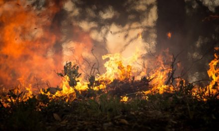 Risk för skogsbränder…