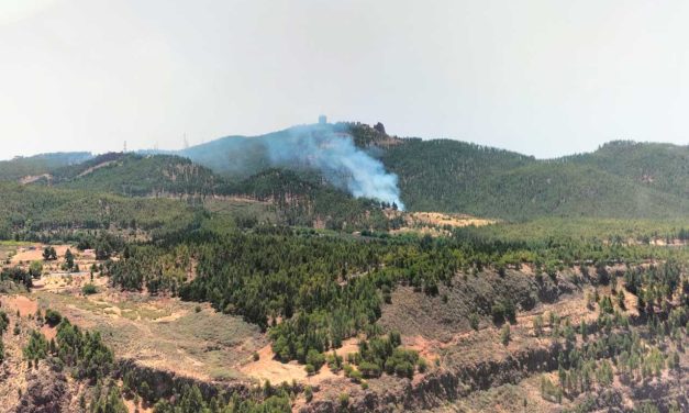 Skogsbrand på Gran Canaria