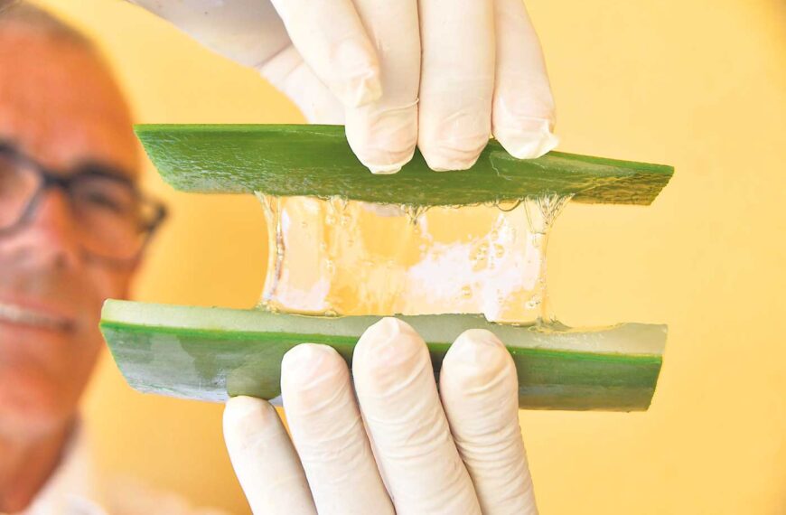 Vi tar deg med til Aloe Vera plantasjen i Fataga