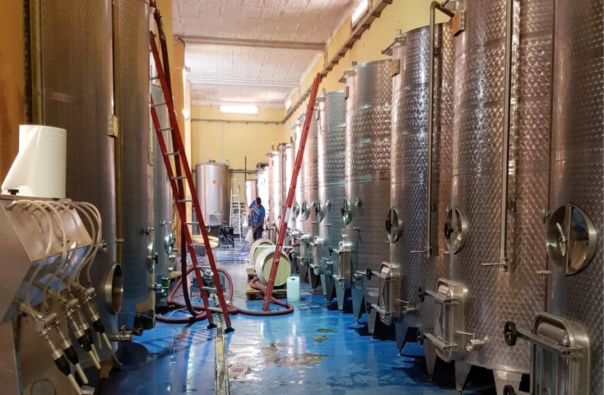 Bodega Las Tirajanas