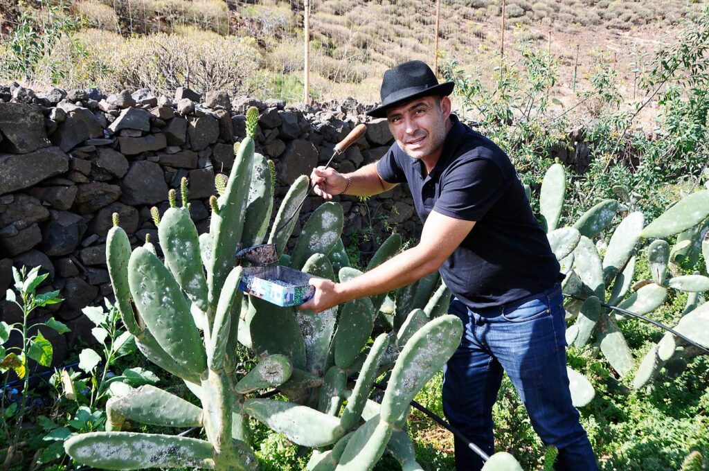 Han kjenner lusa på ganga…