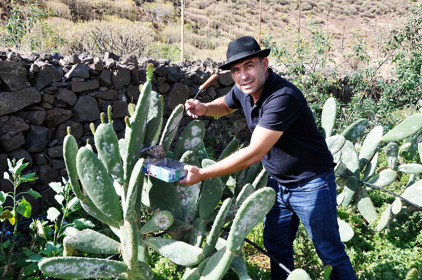 Read more about the article Han kjenner lusa på ganga…