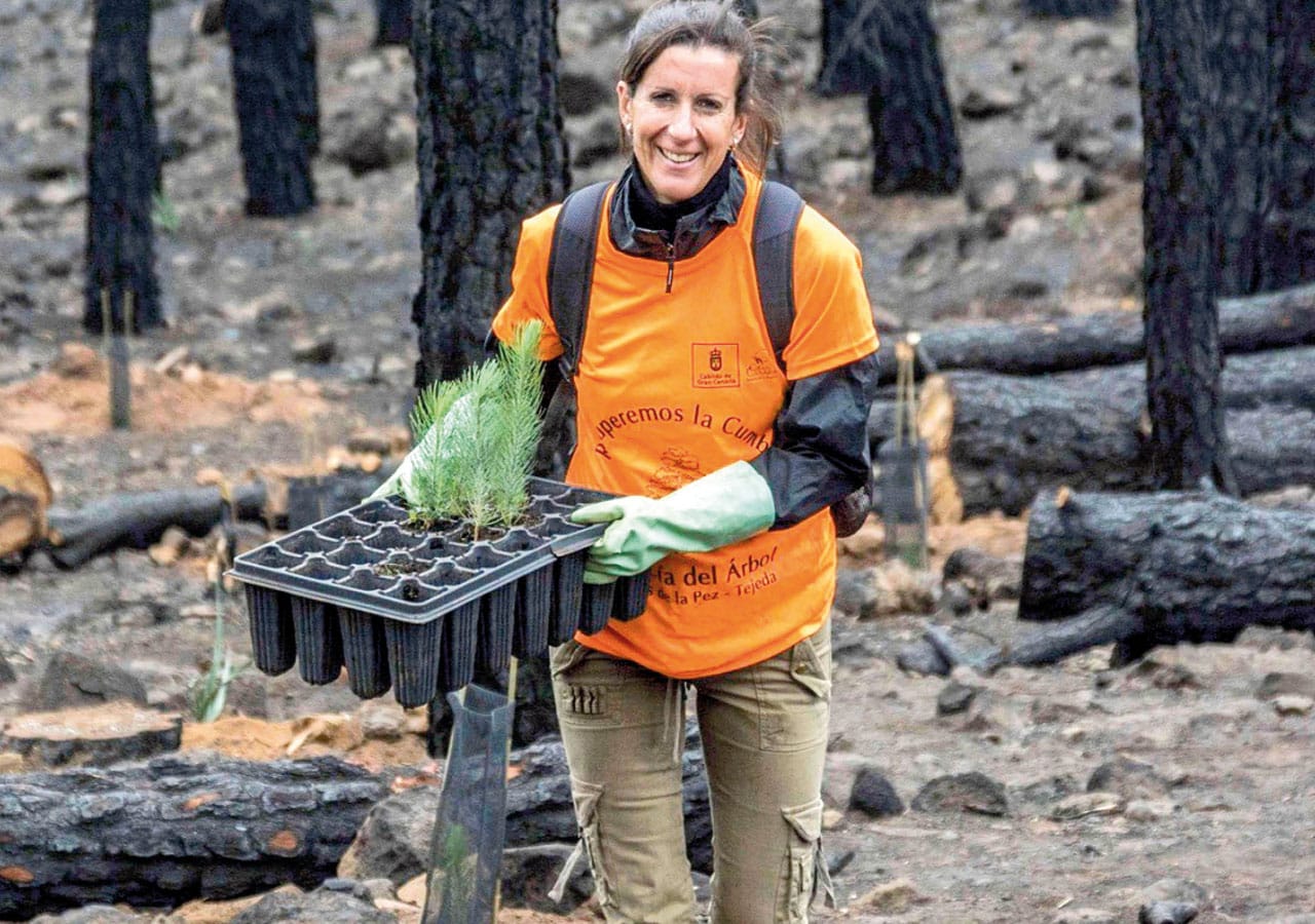 Vil du plante et tre på Gran Canaria?
