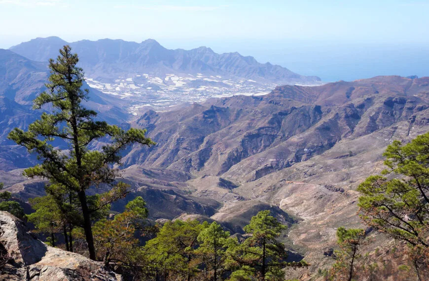 Montaña Altavista