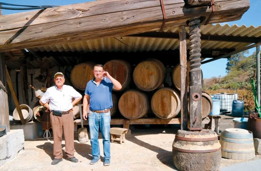 Bodega Viña La Vica