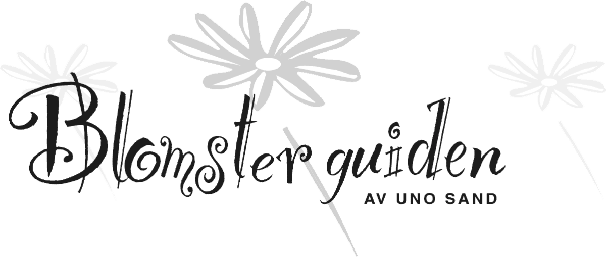 BlomsterLogo Logo