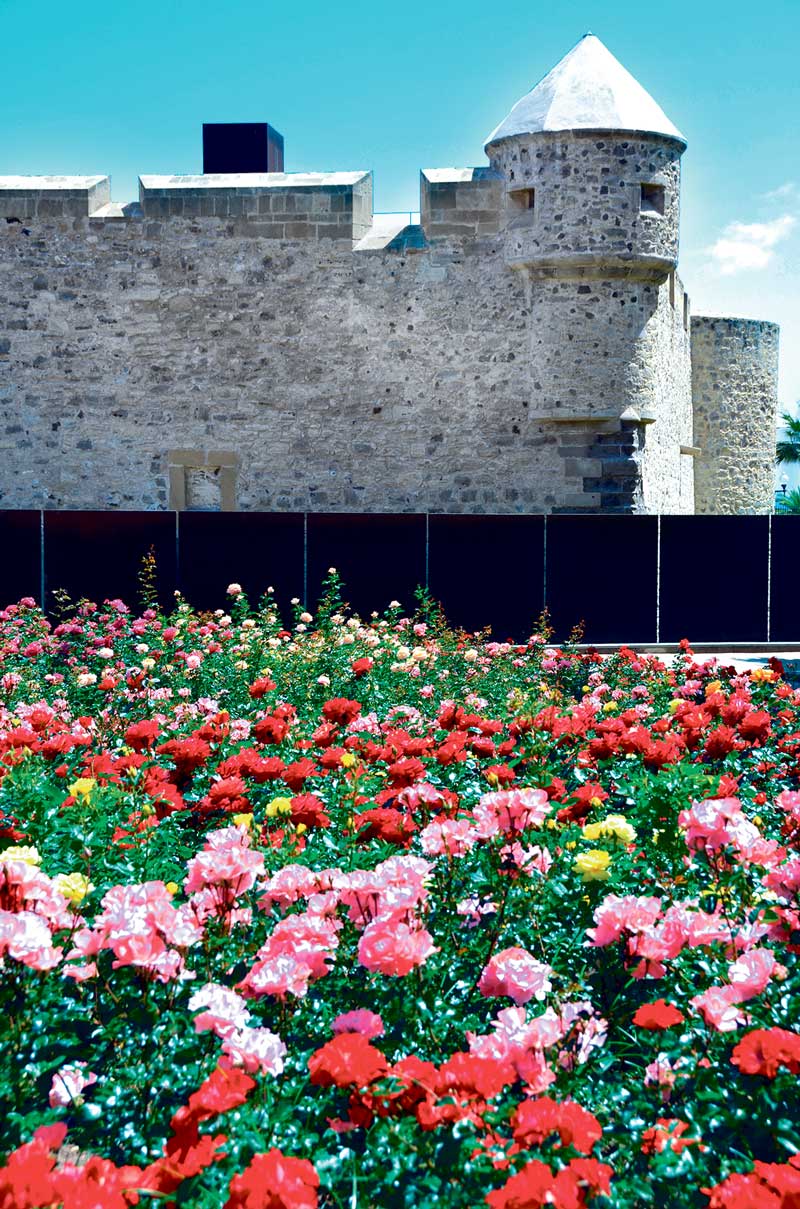 I dag ligger Castillo de la Luz inngjerdet i en vakker rosehagen 