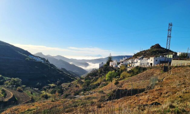 Vi hittar Spaniens bästa viner på Gran Canaria