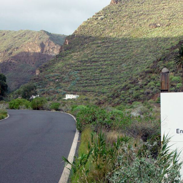 Vägen in i Guayadeque dalen