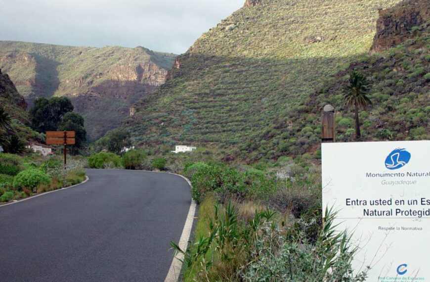 Vägen in i Guayadeque dalen