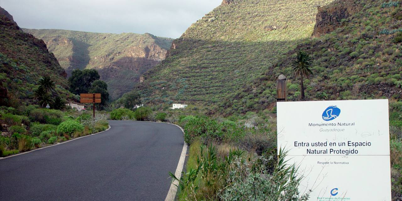 Vägen in i Guayadeque dalen