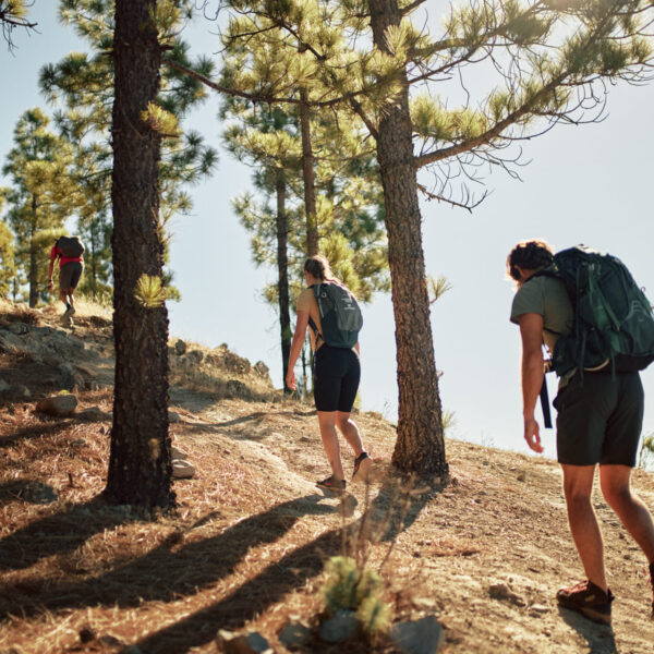 Vandrare i Bergen på GC