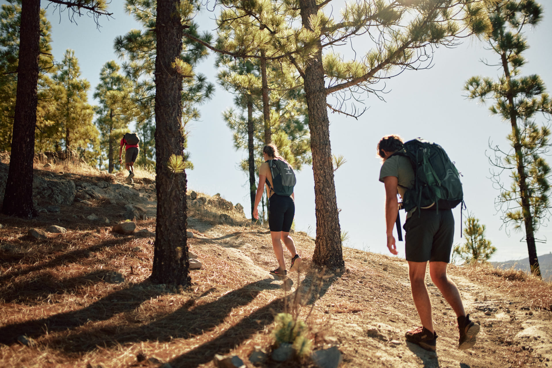Read more about the article Gran Canaria Walking Festival 2025 åpner for påmelding