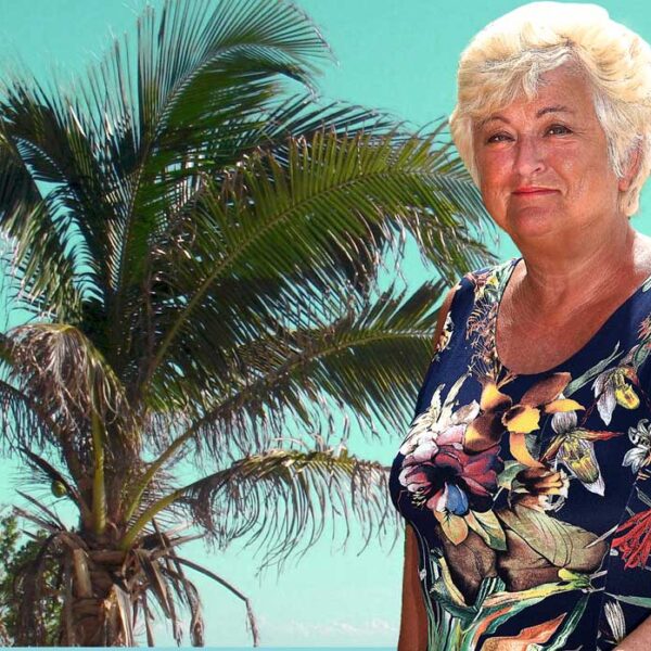 Miss Palomas och palmträd