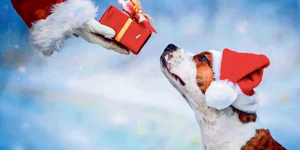 Hund får godis av tomten