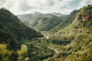 Grön dal på Gran Canaria