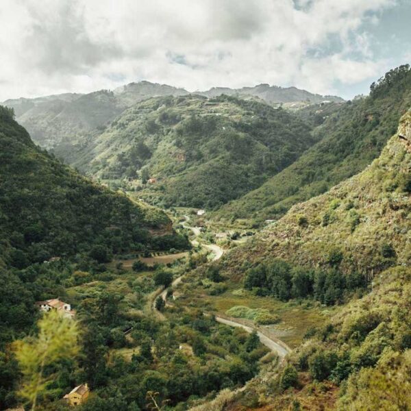 Grön dal på Gran Canaria