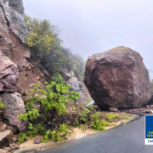 Ras på bergsvägg stor klippa