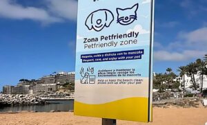 Petfriendly stränder