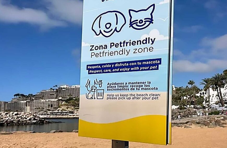Petfriendly stränder