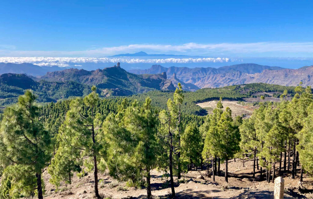 Vandra från Pico de Las NIeves