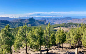 Vandra från Pico de Las NIeves