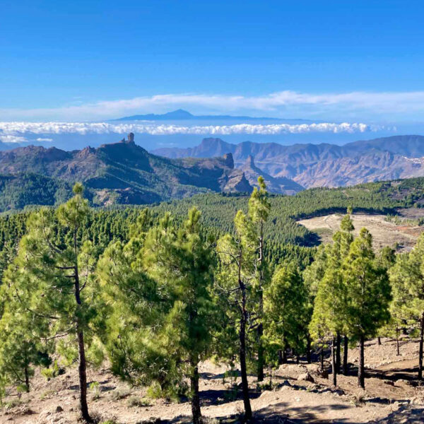 Vandra från Pico de Las NIeves