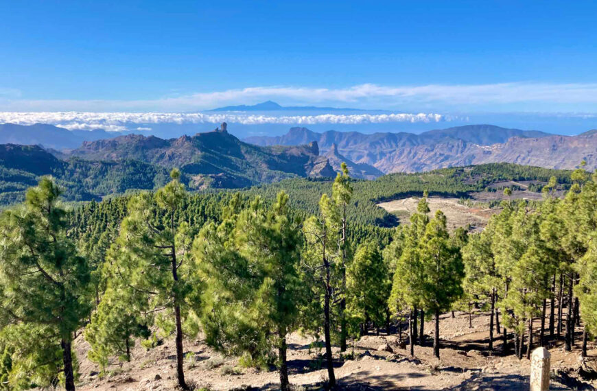 Vandra från Pico de Las NIeves