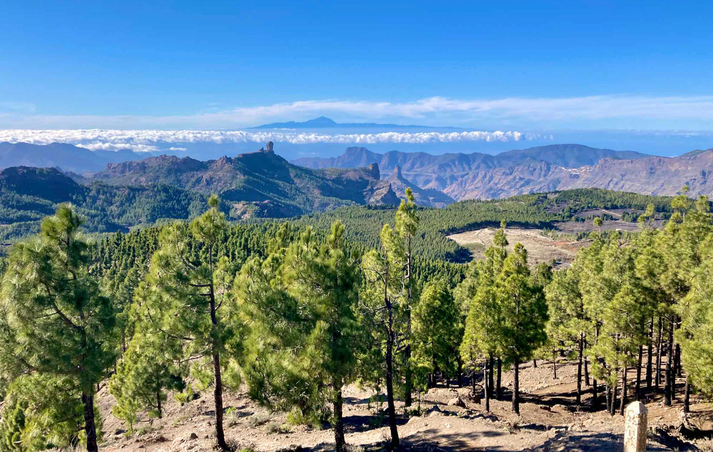 Vandra från Pico de Las NIeves