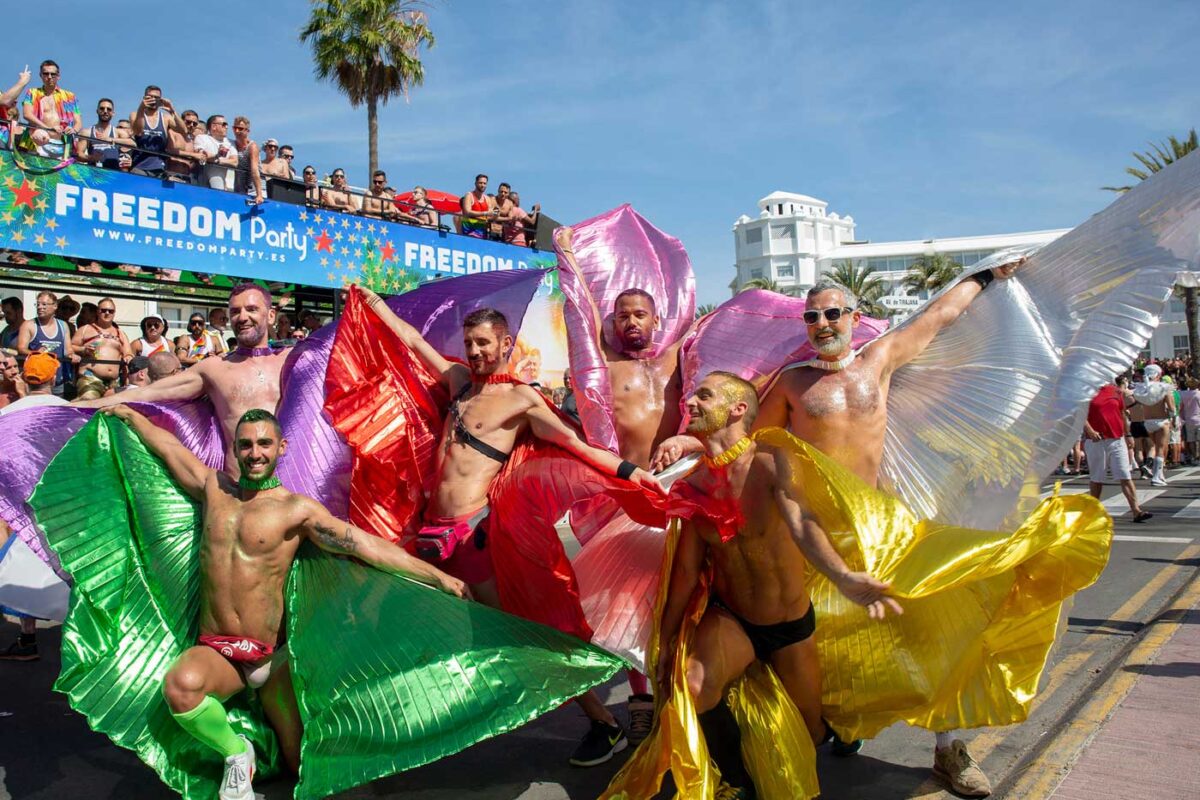 Gaypride mayo