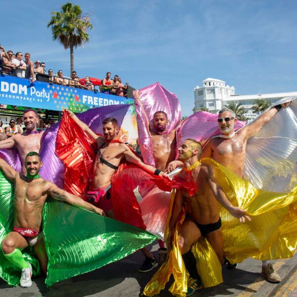 Gaypride mayo