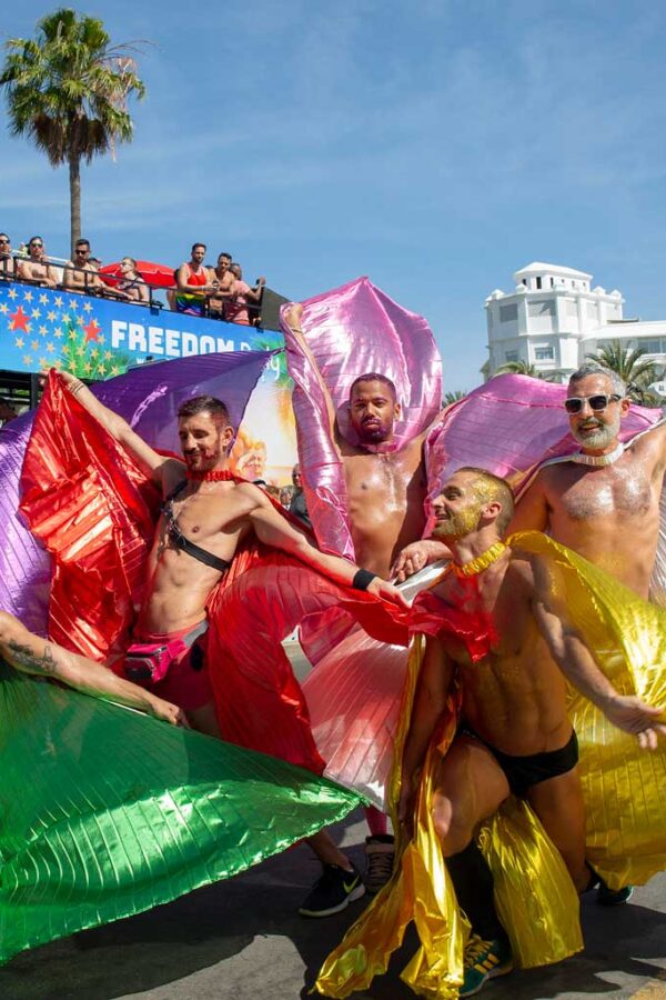 Gaypride mayo