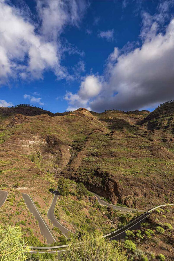Bergen på Gran Canaria