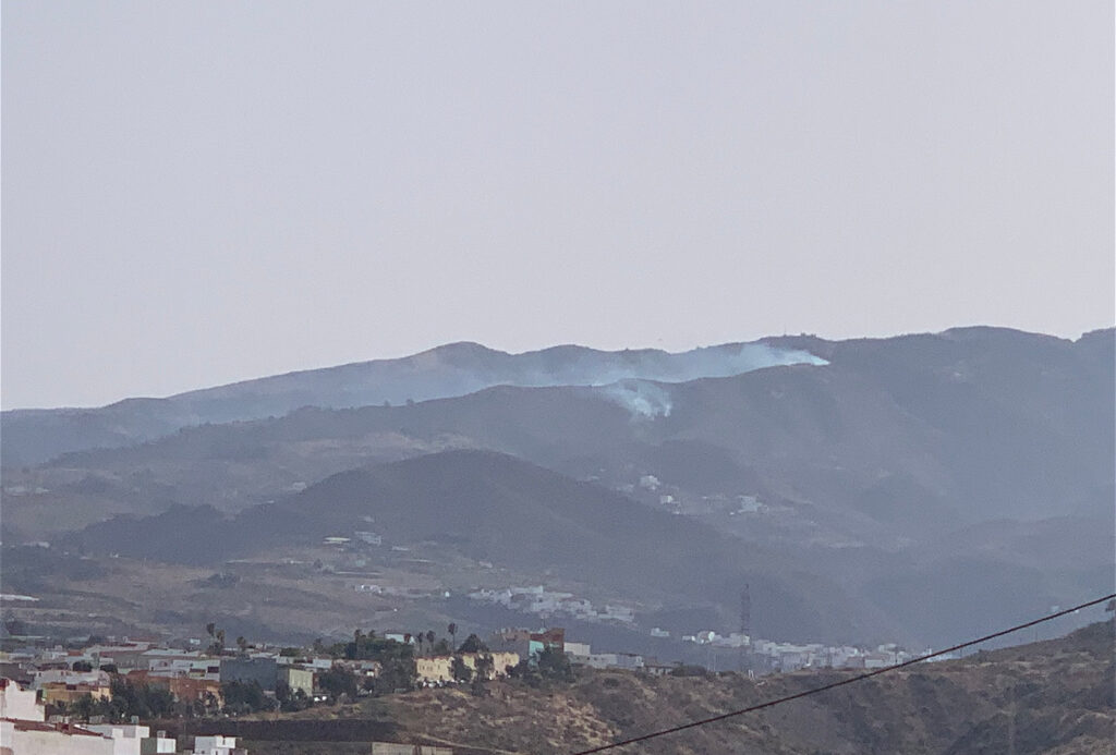 Årets första skogsbrand på Gran Canaria