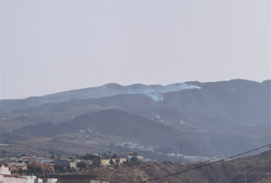Årets första skogsbrand på Gran Canaria