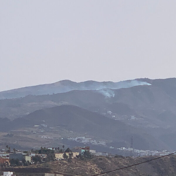 Årets första skogsbrand på Gran Canaria
