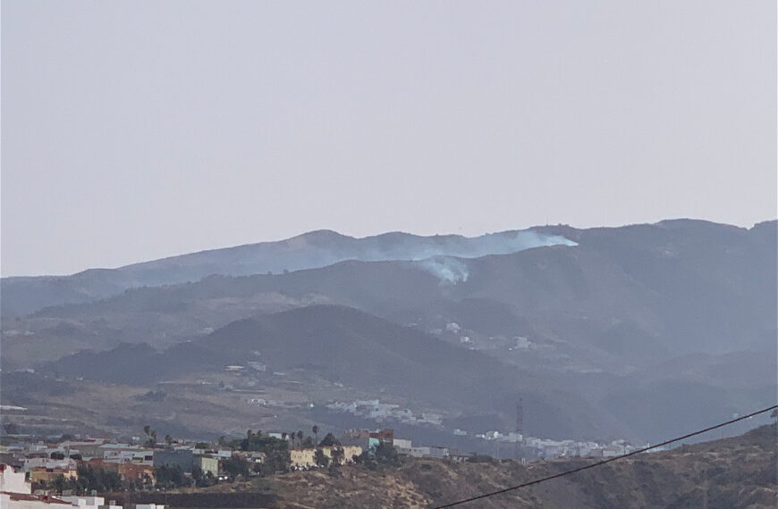 Årets första skogsbrand på Gran Canaria