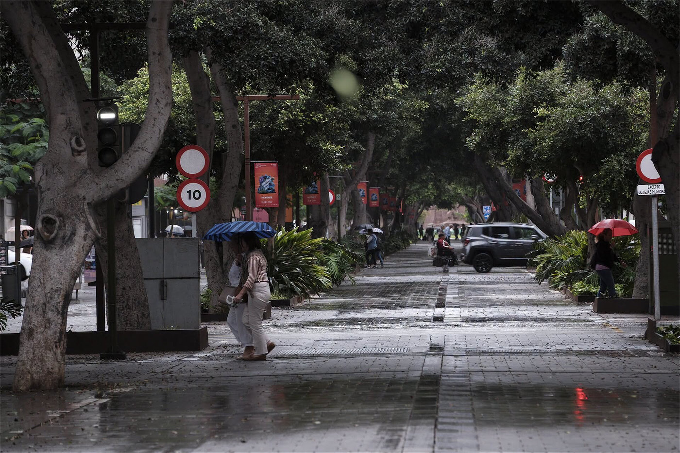 Regn på Gran Canaria